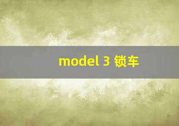 model 3 锁车